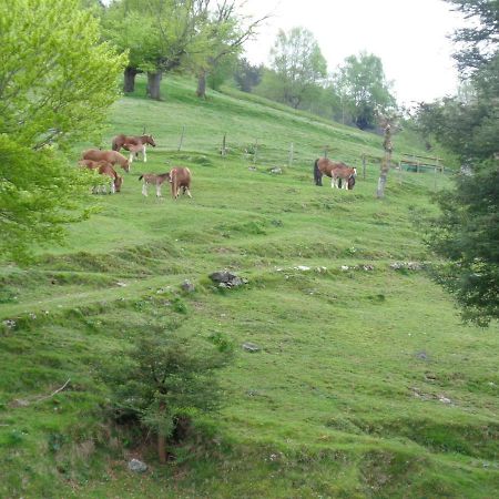 Villabona Casa Rural Alustizaゲストハウス エクステリア 写真