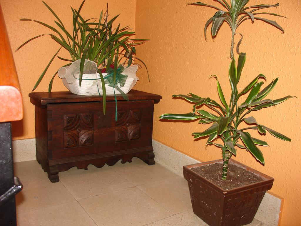 Villabona Casa Rural Alustizaゲストハウス エクステリア 写真