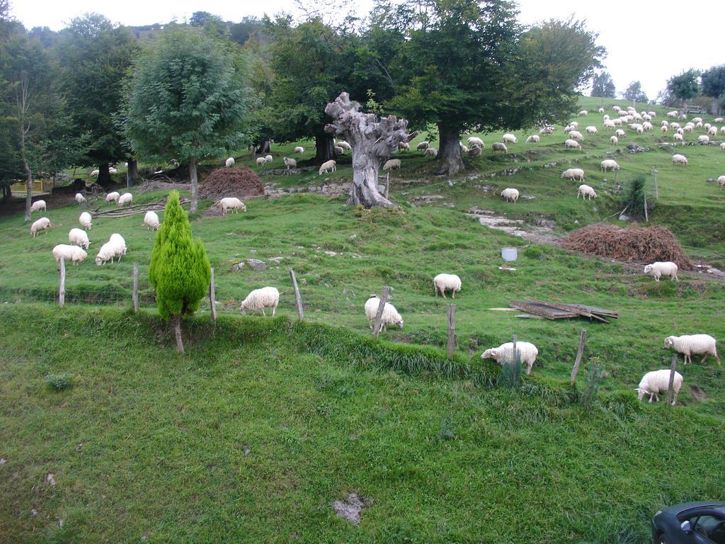 Villabona Casa Rural Alustizaゲストハウス エクステリア 写真