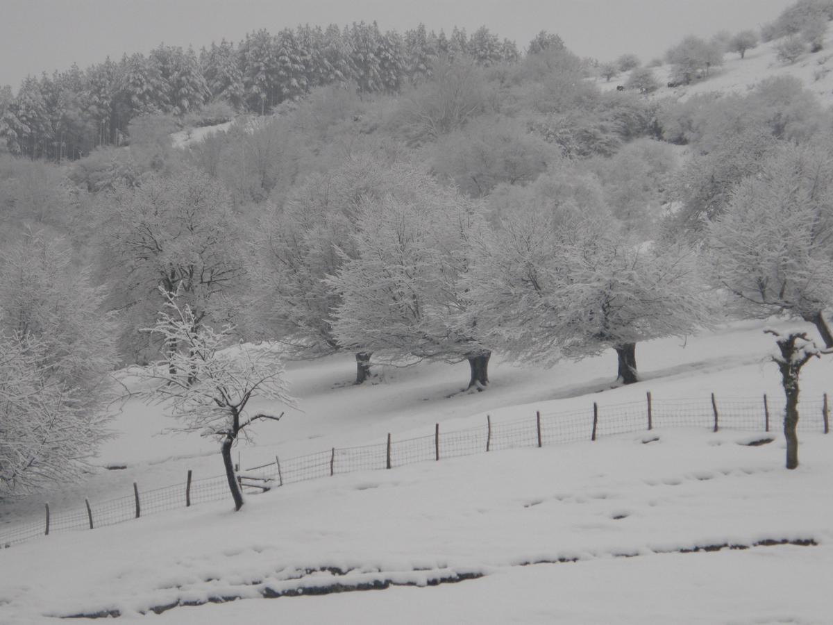 Villabona Casa Rural Alustizaゲストハウス エクステリア 写真