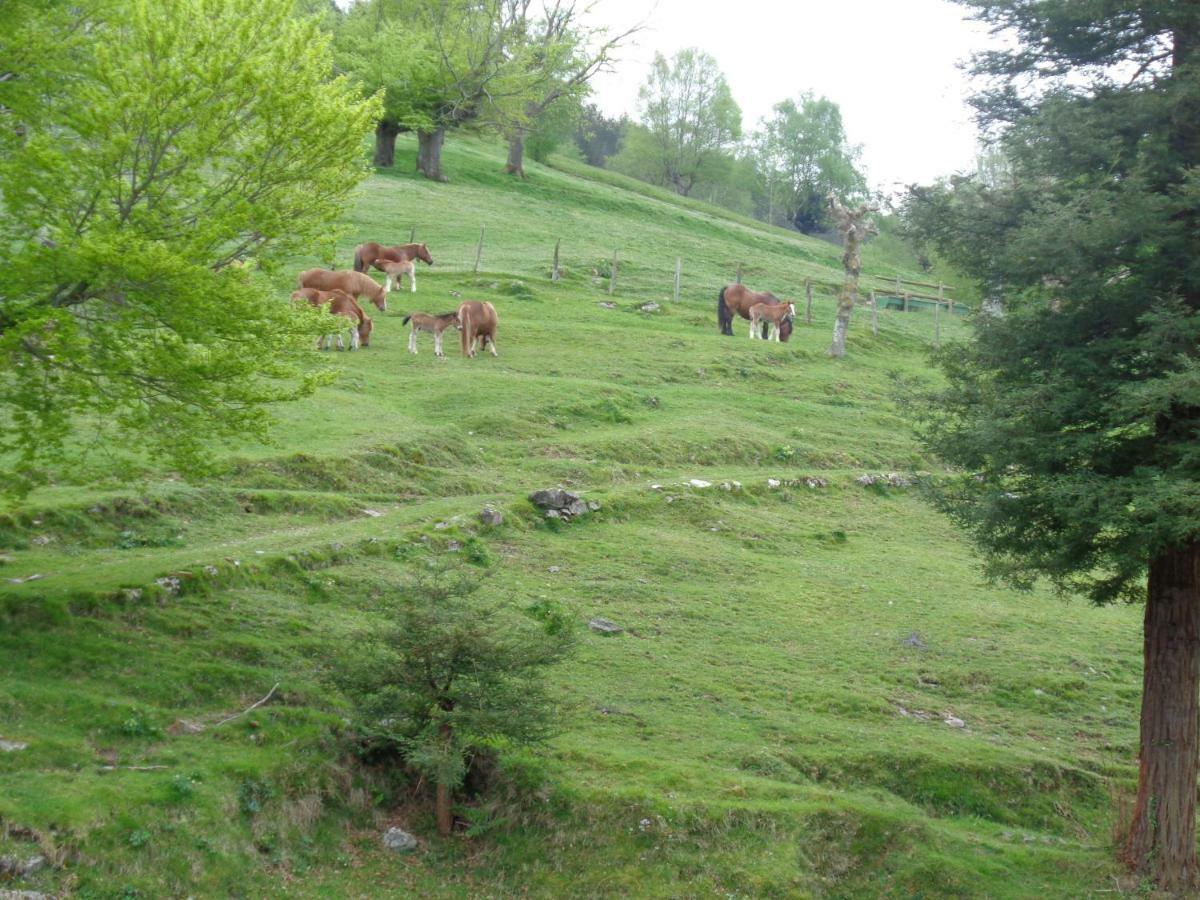Villabona Casa Rural Alustizaゲストハウス エクステリア 写真